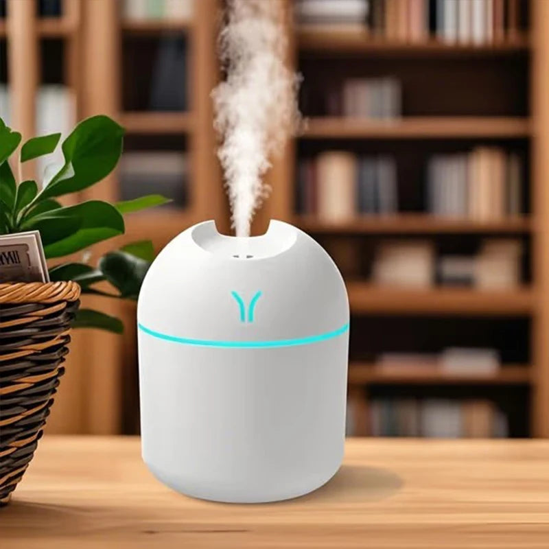 Portable Mini Humidifier & Essential Oil Diffuser